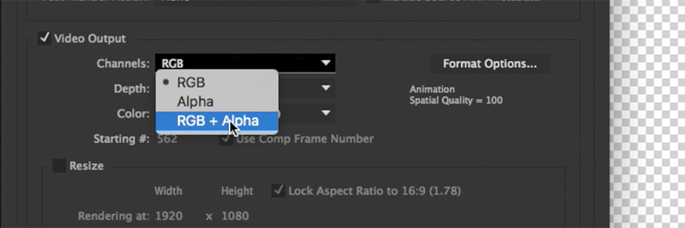 How to Fix Cached Preview in After Effects — Re-import