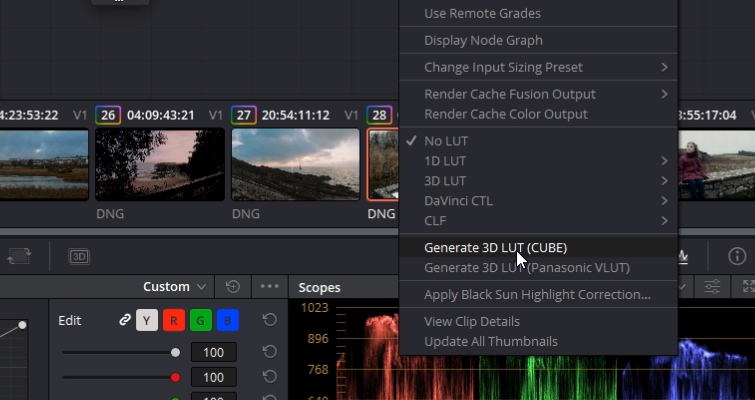How to Make Davinci Resolve LUTs + Free LUTs! — Exporting a LUT