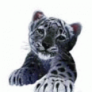 MarsimBarski's avatar