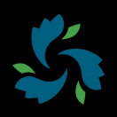 FlowMotionAerials