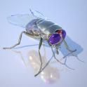 electricfly