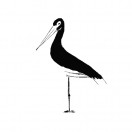 BlackstorkStudio