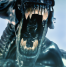 wavepunch