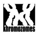 khromozomes