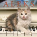 AleksCat