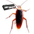 oxxebeat