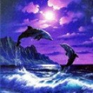 TwoDolphins