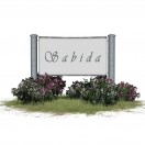sabida's Avatar