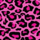 Pink_Panther's Avatar