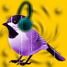 NearBird_Rec