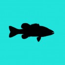 underwatermusic