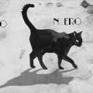 GattoNero's Avatar