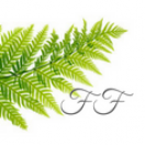 Finding_Ferns's Avatar