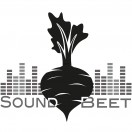 soundbeetrecording's Avatar