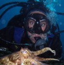 Matteo_Ciani's Avatar