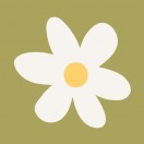 daisyandbumble's Avatar