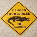 Dreamingcrocodile