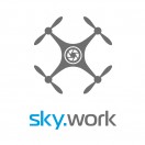 Skywork's Avatar