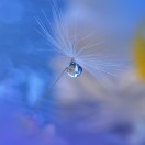 Juliana_Nan