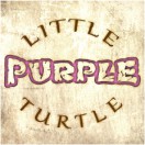 LittlePurpleTurtle