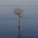 Imagophotos's Avatar