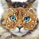Ttdesign's Avatar