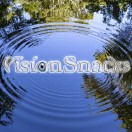 VisionSnacks's Avatar