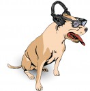 toshdog1