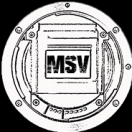 MSVideomaker