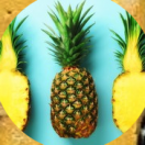 pineappleprisoners's Avatar