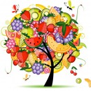 MelonTree
