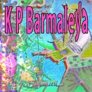 K_P_Barmaleya's Avatar