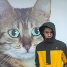 Qreall's Avatar