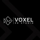 VoxelStudio's Avatar