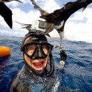 AfricanSpearfishingDiaries's Avatar