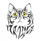 TimCat