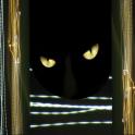 electrocat