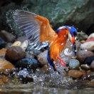 PhiphatStockphoto