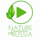 NatureOfRussia's Avatar