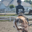 thatequestrian