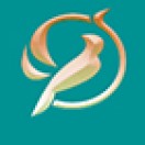 OrioleStudio