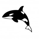 AceWhale