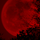 RedMoonRisingStudios