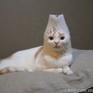 nimaphoto