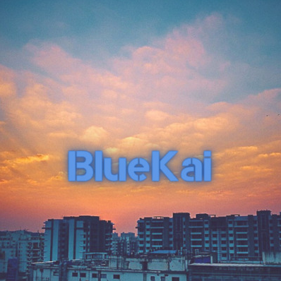 BlueKai's Avatar