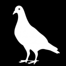 pigeon_row's Avatar