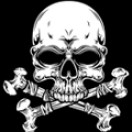 vectorfreak