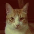 catsound
