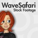 wavesafari