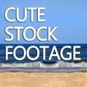 cutestockfootage